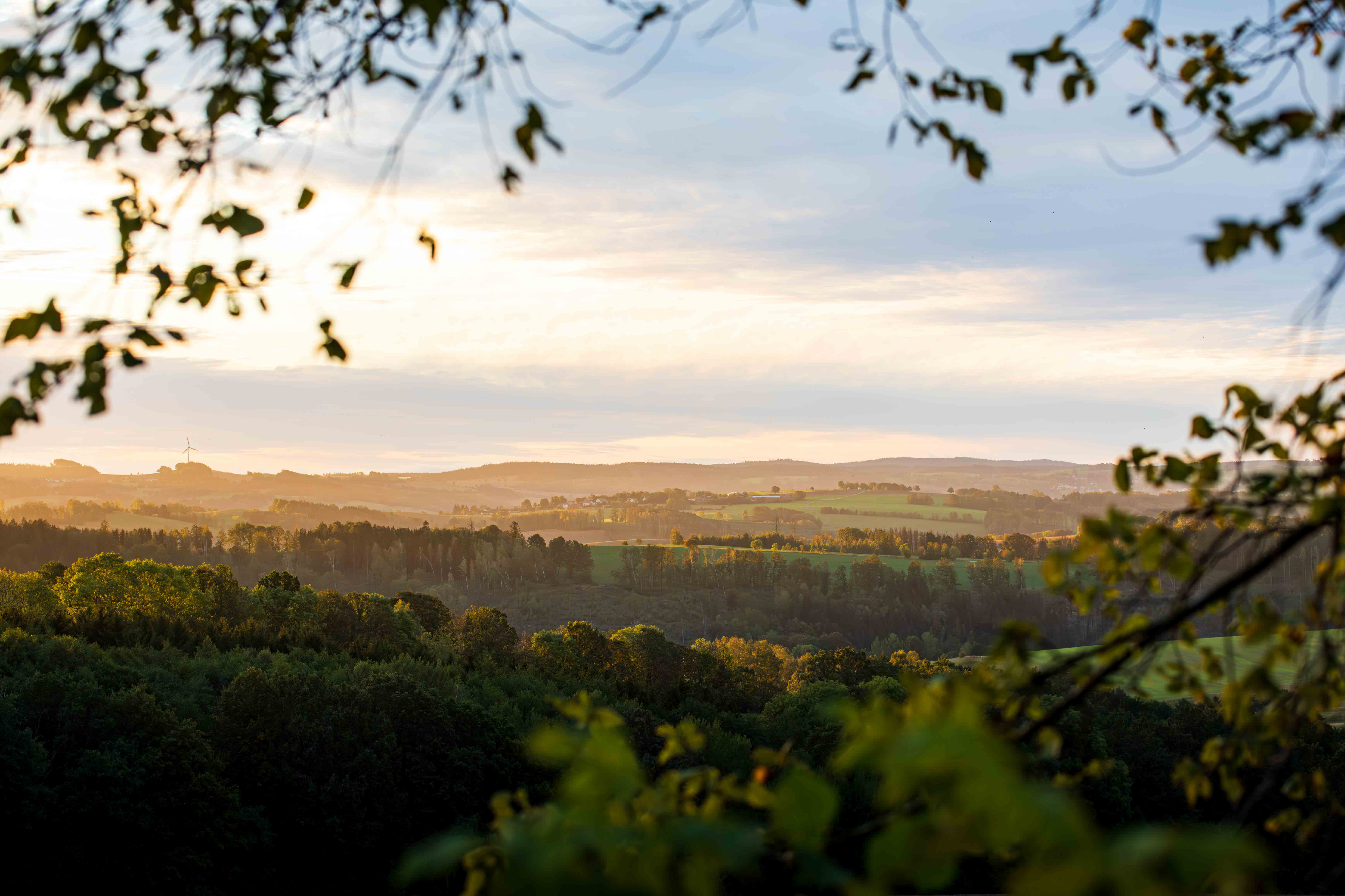 Landschaftsaufnahme 14
